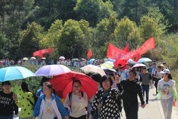 行走在森林中